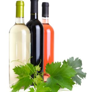 bottles of wine and the grapevine