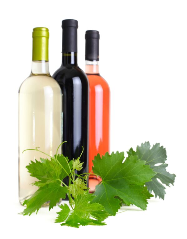 bottles of wine and the grapevine